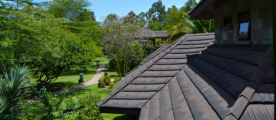 Lake Naivasha Simba Lodge