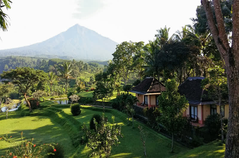 Ijen Resort and Villas